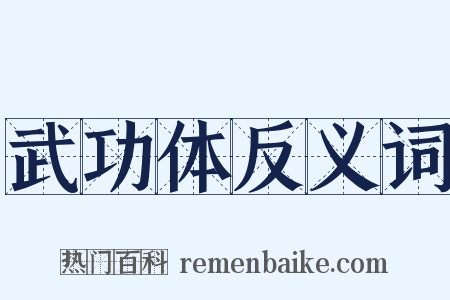 武功体反义词是什么意思的图片